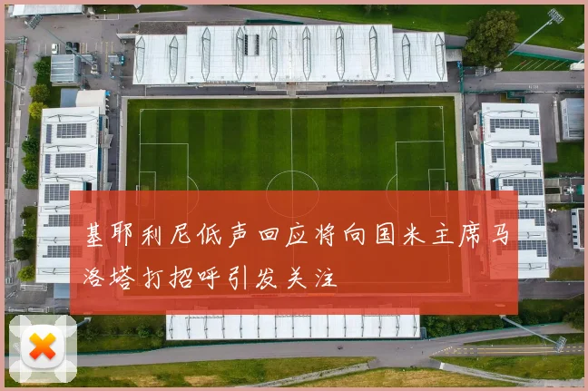 基耶利尼低声回应将向国米主席马洛塔打招呼引发关注