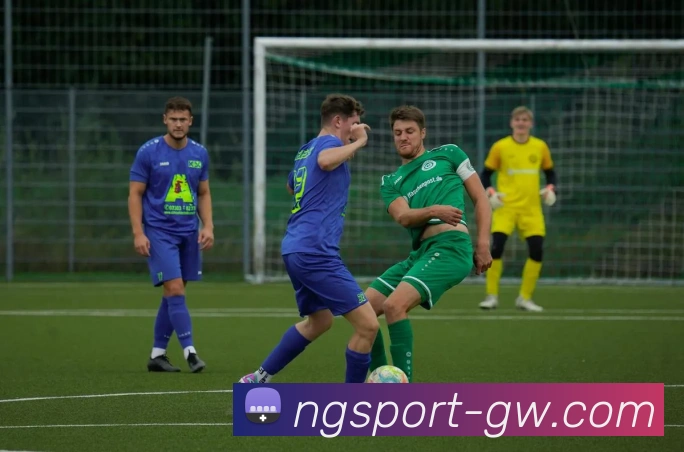 南宫体育平台生态图