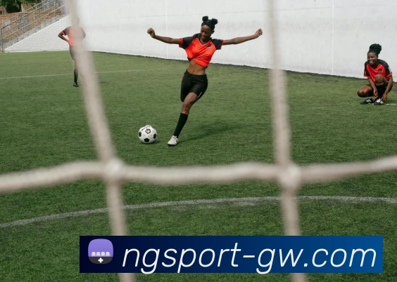 南宫体育APP 封面图